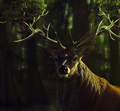 正版最便宜的DDOS压力测试网页端